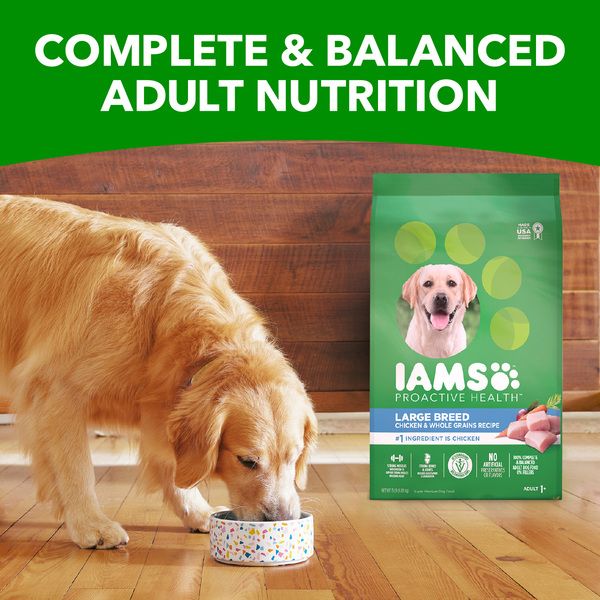 Canidae dog food coupons hot sale