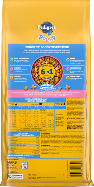 Back of Pack