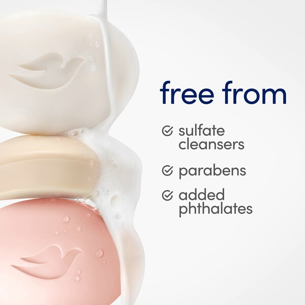ContentPlus Image 4