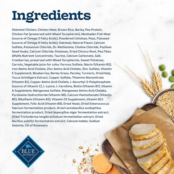 ContentPlus Image 4