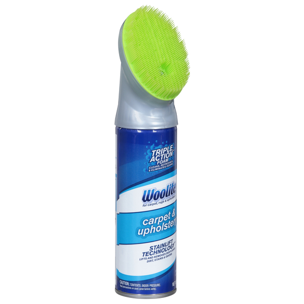 Woolite Carpet Cleaner Instructions Two Birds Home