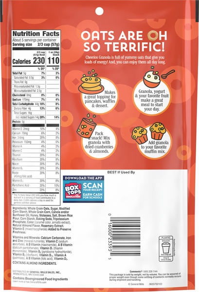 Back of Pack
