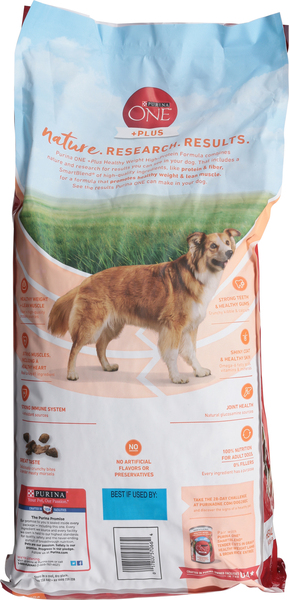 Back of Pack
