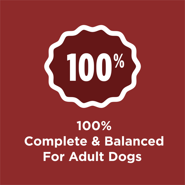 ContentPlus Image 3