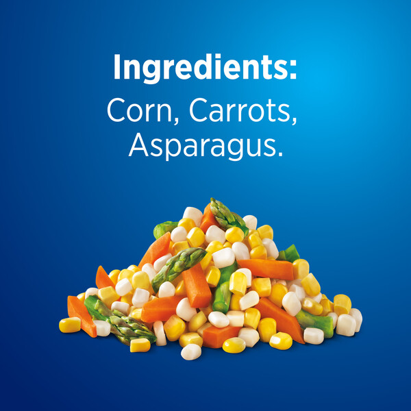 ContentPlus Image 4