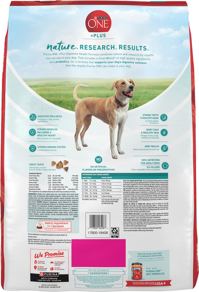 Purina one digestive health discount
