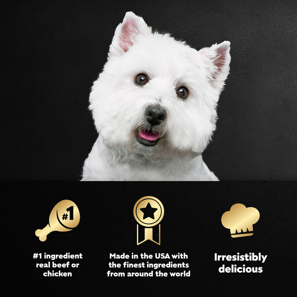 ContentPlus Image 3