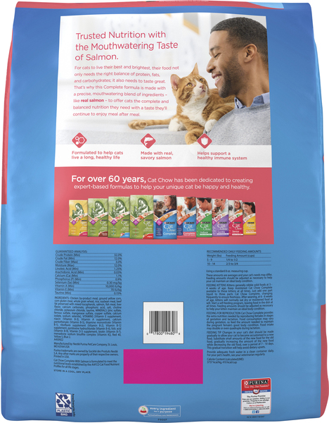Purina Cat Chow Complete Salmon All Ages Dry Cat Food 15 lb bag Giant