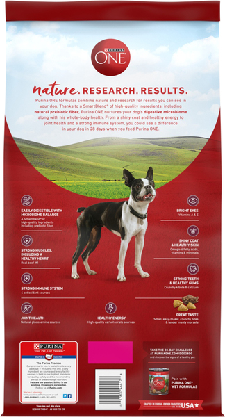 Back of Pack