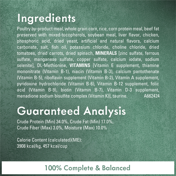 ContentPlus Image 4