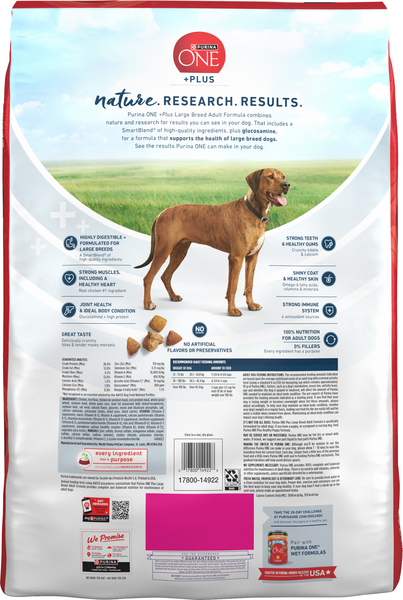 Back of Pack