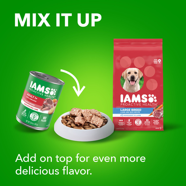 IAMS Proactive Health Large Breed Lamb Rice Recipe Adult Dry Dog Food 15 lb bag MARTIN S