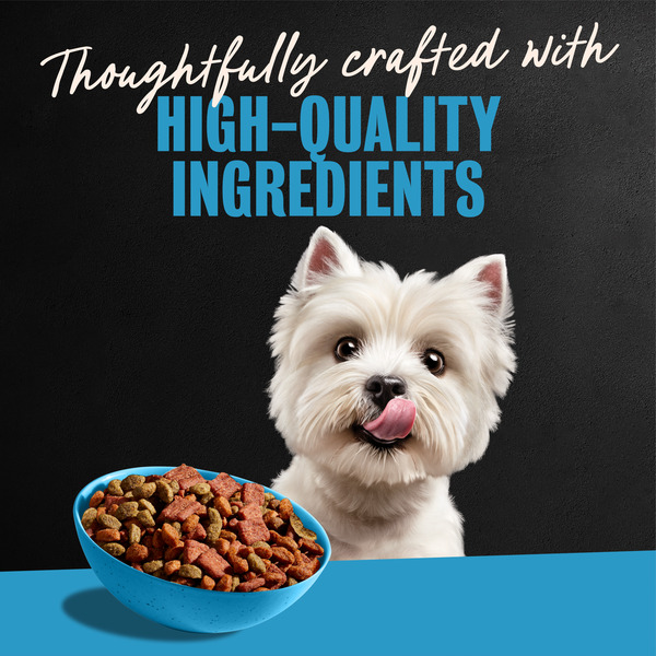 ContentPlus Image 5