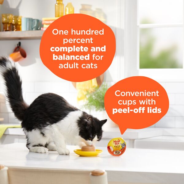 ContentPlus Image 3
