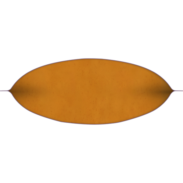 ContentPlus Image 5