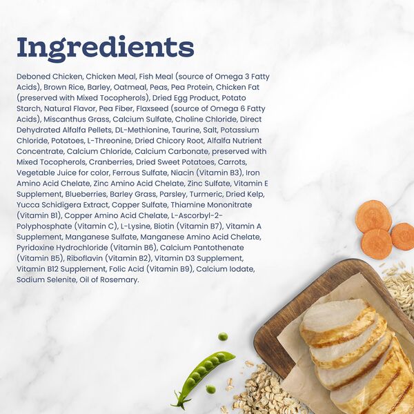 ContentPlus Image 6