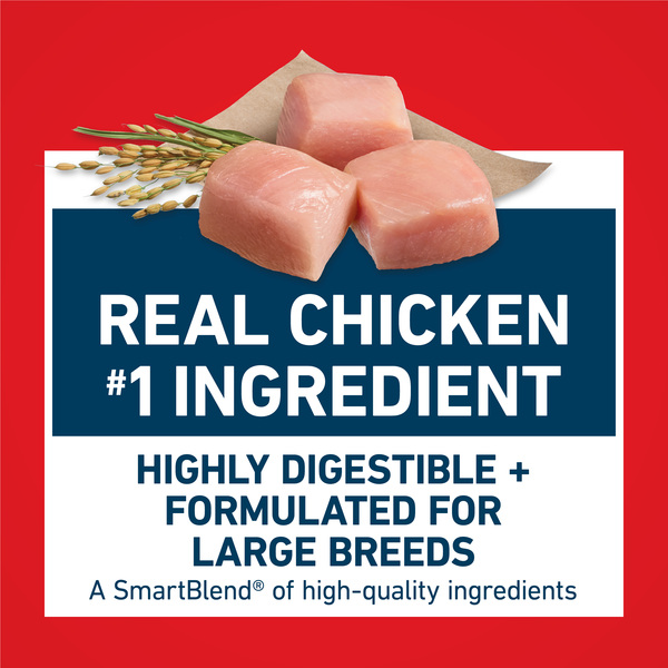ContentPlus Image 4