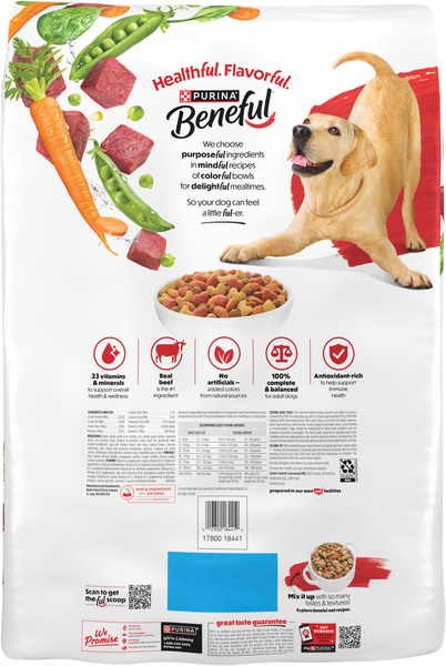 Back of Pack