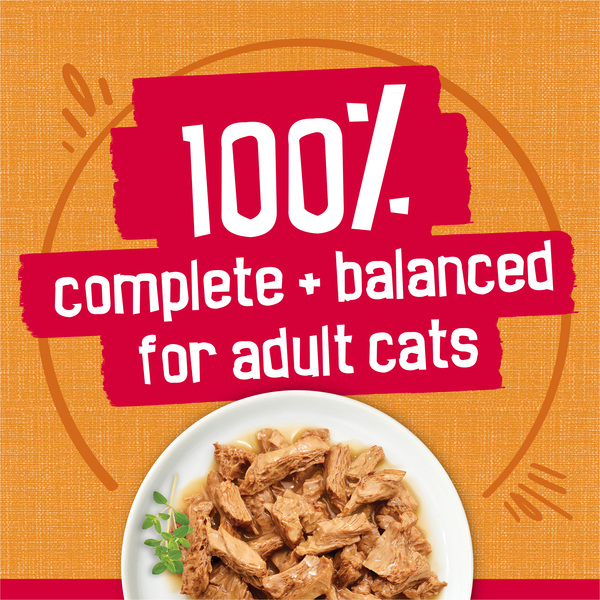 ContentPlus Image 4