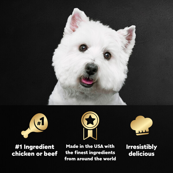 ContentPlus Image 4