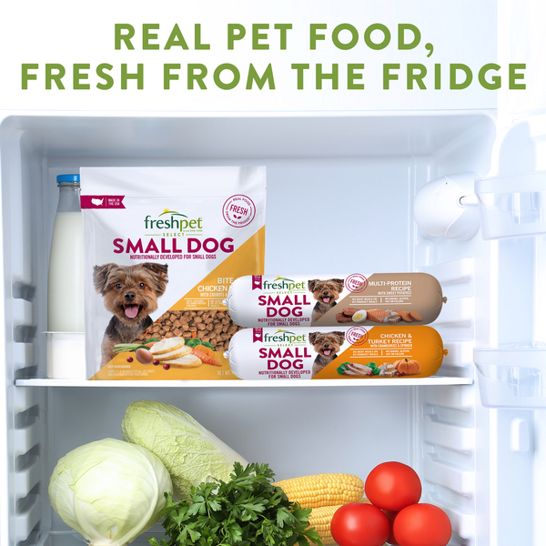 Freshpet small dog hotsell