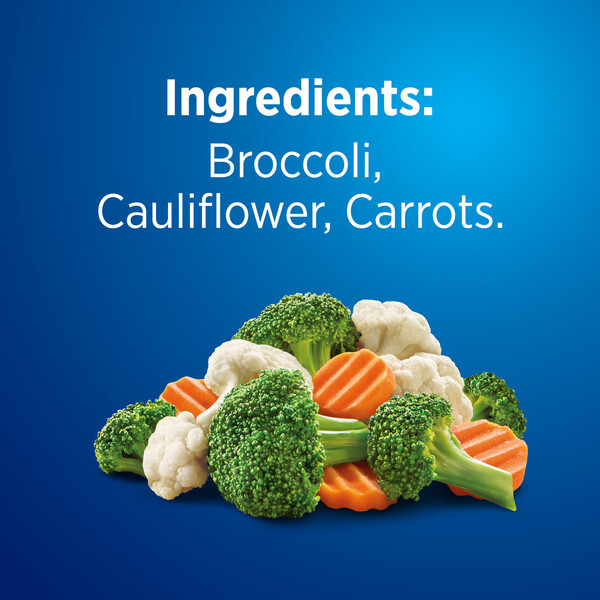 ContentPlus Image 4