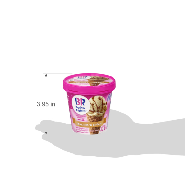 Baskin robbins store pralines and cream