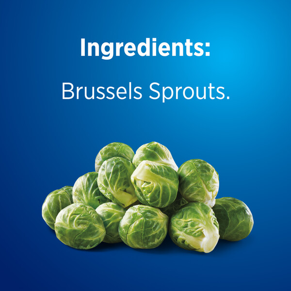 ContentPlus Image 4