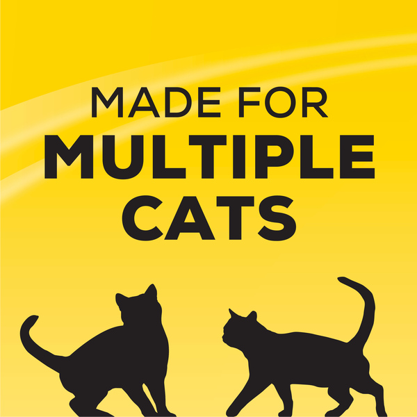 ContentPlus Image 4