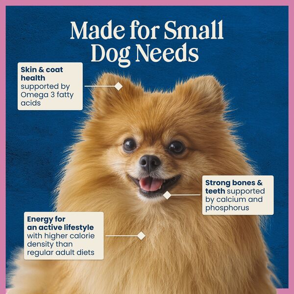 ContentPlus Image 6