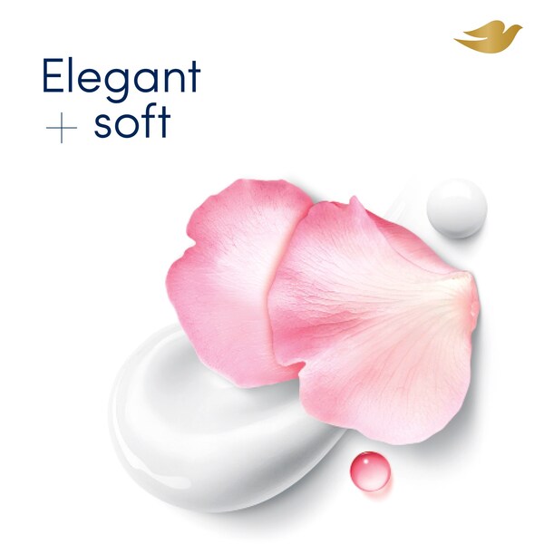 ContentPlus Image 2