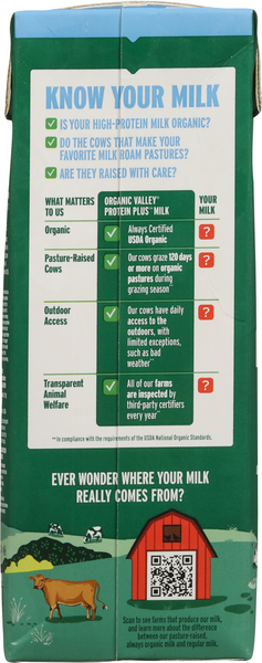 Back of Pack