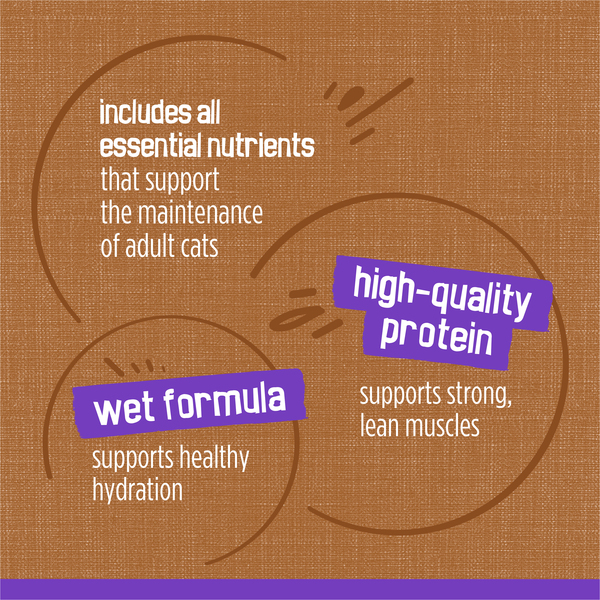 ContentPlus Image 6