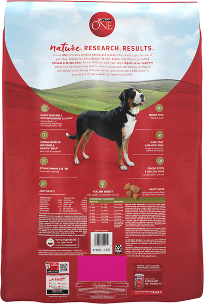 Back of Pack