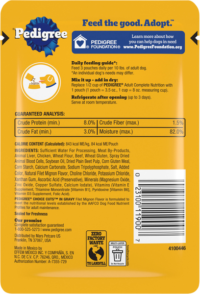 Back of Pack
