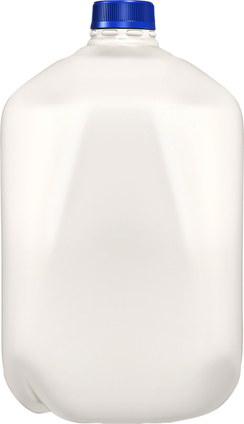 Back of Pack