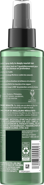Back of Pack