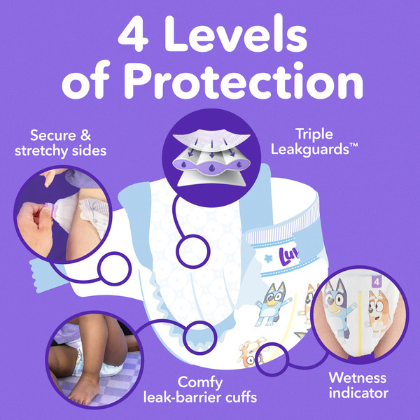 ContentPlus Image 1