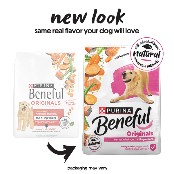 ContentPlus Image 2