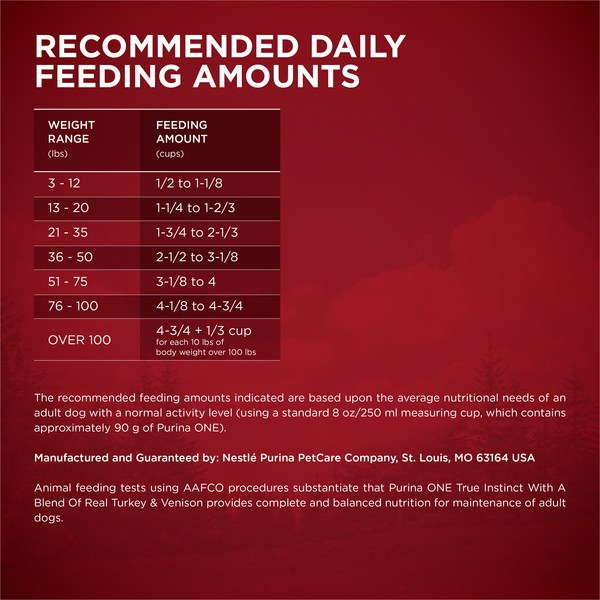 ContentPlus Image 4