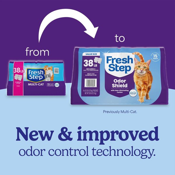 ContentPlus Image 1