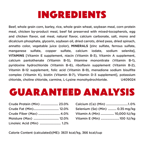 ContentPlus Image 5