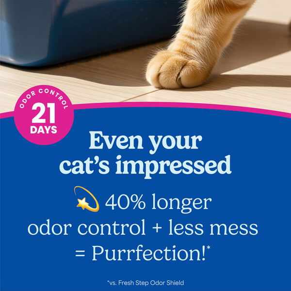 ContentPlus Image 2