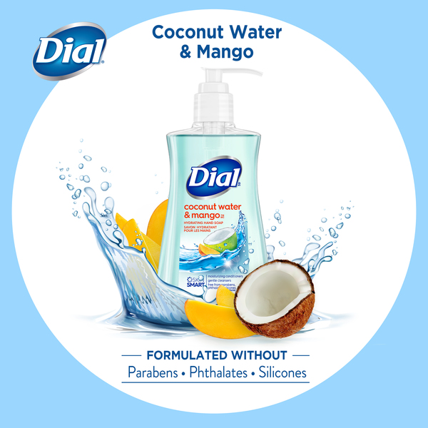 Dial coconut milk hand soap on sale