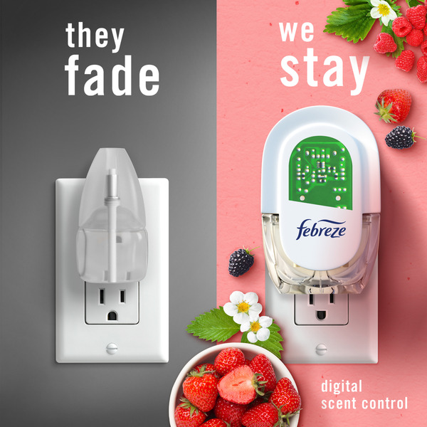 ContentPlus Image 3