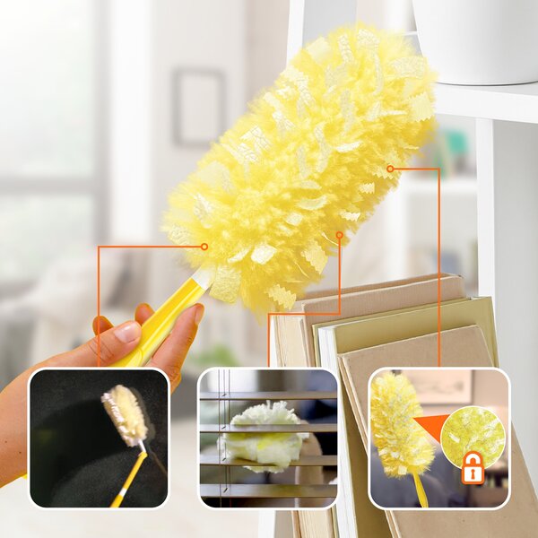 ContentPlus Image 5