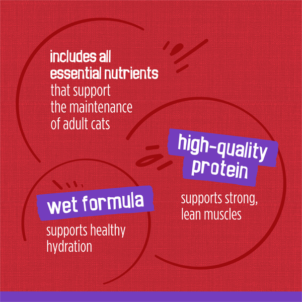 ContentPlus Image 7