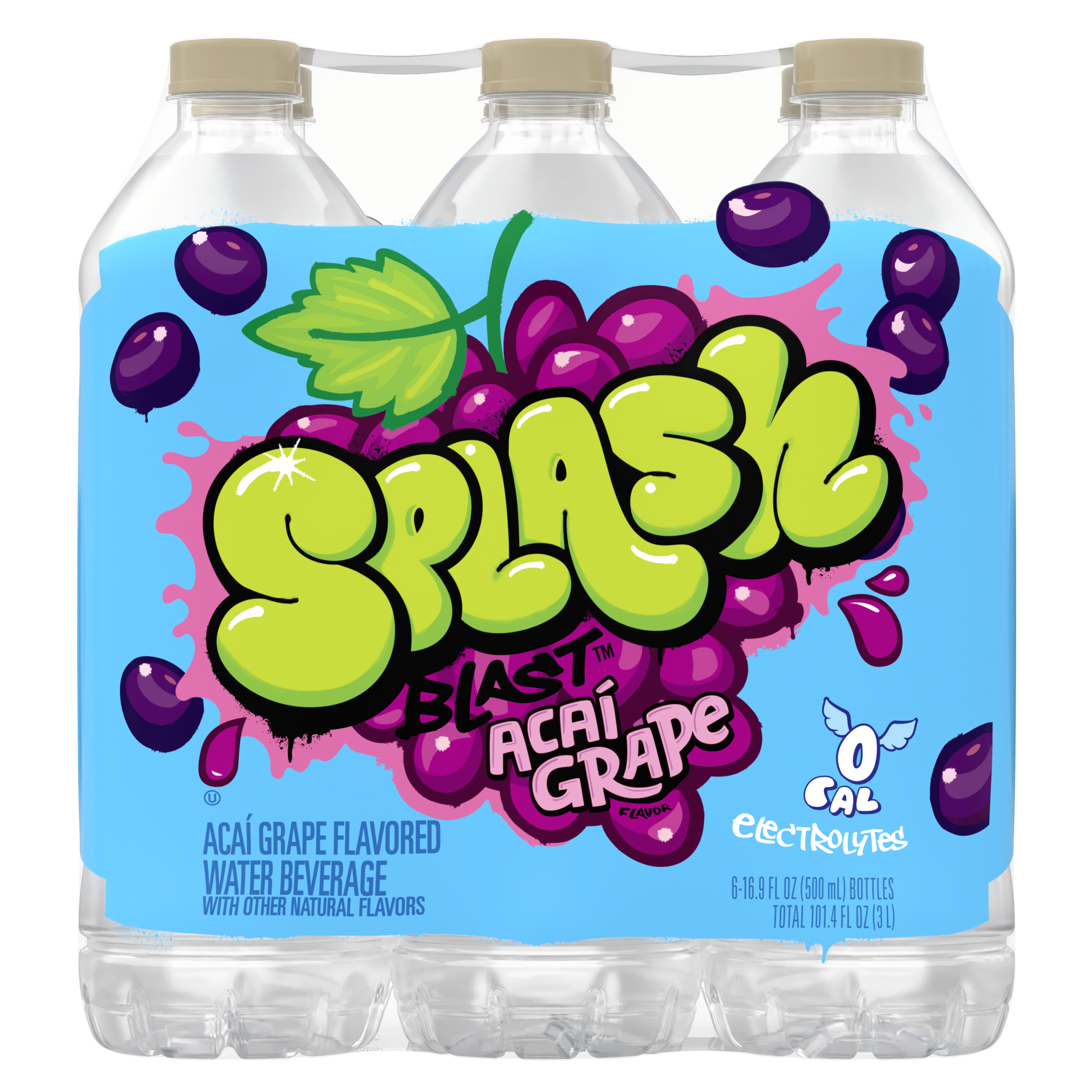 Splash Blast™ Wild Berry Flavor Water Beverage 8 Fl Oz Plastic