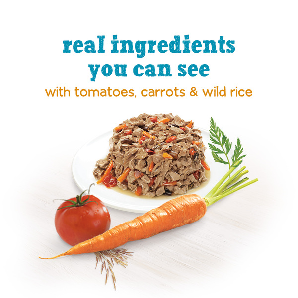 ContentPlus Image 1