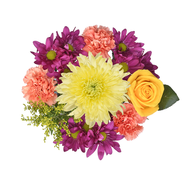 ContentPlus Image 1